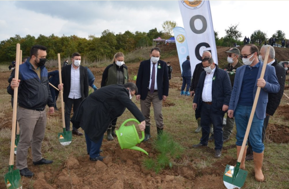 Rekor Kırmak İçin Kış Başı Dikilen Fidanlar Rekor Kurudu