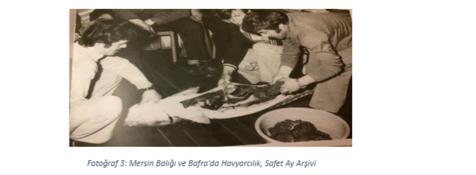 Ali İşman’ın Mirası: Bafra Havyarının Yükselişi ve Çöküşü
