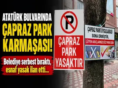 Bu anket güvenli mi?
